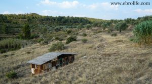 Finca rústica en Maella en venta con masía