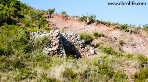 Finca en el macizo de los Puertos de Tortosa en oferta con pinares por 65.000€