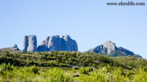 Finca en el macizo de los Puertos de Tortosa en oferta con pinares