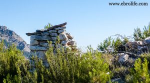 Finca en el macizo de los Puertos de Tortosa para vender con pinares por 65.000€