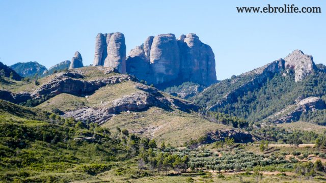 Finca en el macizo de los Puertos de Tortosa