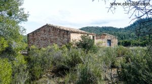 Gran masía con corrales y era en Maella para vender con río por 36.000€