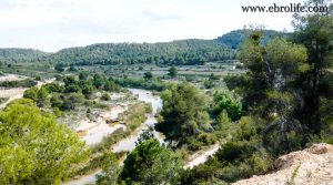 Foto de Gran masía con corrales y era en Maella con almendros