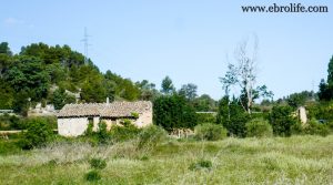 Se vende Masía antigua en La Fresneda con agua