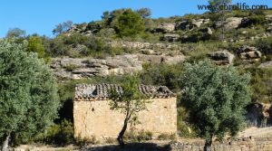 Detalle de Finca de regadío con masía en Batea con pinares por 22.000€