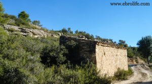 Finca de regadío con masía en Batea para vender con pinares por 22.000€