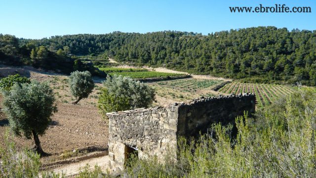 Finca de regadío con masía en Batea