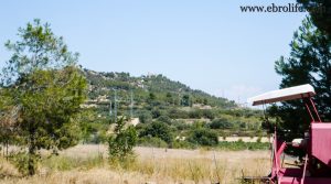 Detalle de Finca de recreo en Calaceite con electricidad