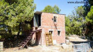 Se vende Finca de recreo en Calaceite con pinares por 70.000€