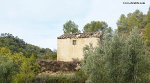 Finca rústica Barranco de los Huertos Calaceite en oferta con regadío por 50.000€