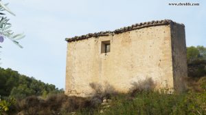 Finca rústica Barranco de los Huertos Calaceite a buen precio con olivos por 50.000€