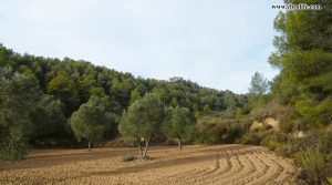 Finca rústica Barranco de los Huertos Calaceite a buen precio con masía