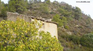 Finca rústica Barranco de los Huertos Calaceite en oferta con regadío por 50.000€