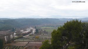 Foto de Finca Rustica en Valdeltormo con olivos