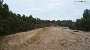 Se vende Finca Rustica en Valdeltormo con regadío