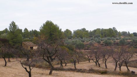 Finca Rustica en Valdeltormo