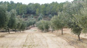 Foto de Finca Rustica en Valdeltormo en venta con bodega