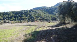 Se vende Finca rústica en Rafales en el rio Tastavins con río por 39.000€