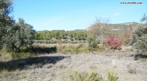 Detalle de Finca rústica en Rafales en el rio Tastavins con río