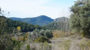 Vendemos Finca rústica en Rafales en el rio Tastavins con cultivo ecológico por 39.000€