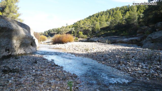 Finca rústica en Rafales en el rio Tastavins