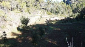 Finca rústica Punta Molinera Ráfales para vender con finca trufera ecológica por 57.000€