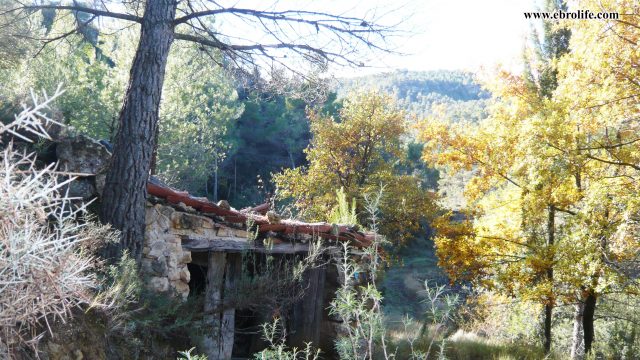 Finca rústica Punta Molinera Ráfales