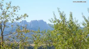 Foto de Finca rústica en Horta de Sant Joan con agua