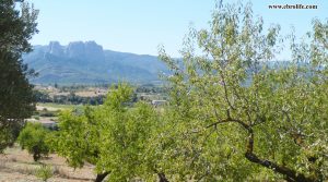 Finca rústica en Horta de Sant Joan a buen precio con almendros