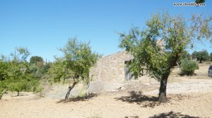 Foto de Finca rústica en Horta de Sant Joan en venta con masía