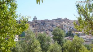 Detalle de Finca rústica en Horta de Sant Joan con almendros