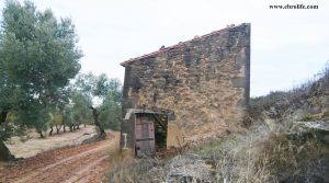 Finca rústica en Calaceite para vender con masía por 33.000€