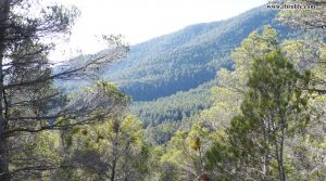 Foto de Finca rústica entre Rafales y Monroyo con masía