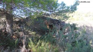 Finca rústica entre Rafales y Monroyo en venta con masía por 30.000€