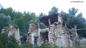 Detalle de Finca rústica en Valderrobres con pinares