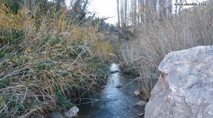 Vendemos Finca rústica en Valderrobres con embalse