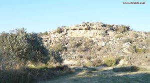 Foto de Finca rústica cerca de Caspe con almacén