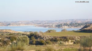 Vendemos Finca rústica cerca de Caspe con masía