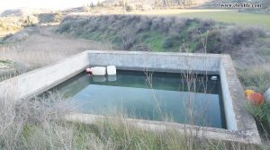 Detalle de Finca rústica cerca de Caspe con regadío