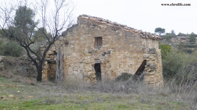 Finca rústica con masía en Calaceite