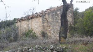 Se vende Finca rústica con masía en Calaceite con balsa por 30.000€