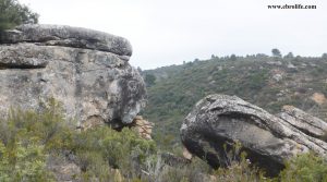 Finca rústica con masía en Calaceite a buen precio con bodega