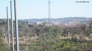 Detalle de Finca rústica en Valderrobres con masía