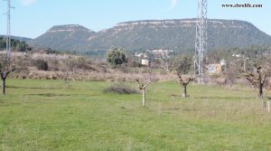 Finca rústica en Valderrobres en oferta con masía