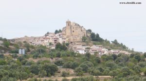 Finca rústica en La Fresneda a buen precio con olivos