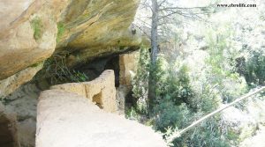 Detalle de Finca rústica en la Fresneda con pinares