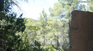 Foto de Finca rústica en la Fresneda con robles