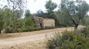 Finca rústica cerca de Calaceite a buen precio con olivos