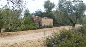 Finca rústica cerca de Calaceite a buen precio con olivos