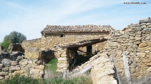 Detalle de Finca rústica de olivos en Valdealgorfa con masía